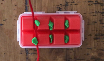 This project uses an ice tray, Play-Doh, and pipe cleaners to illustrate the importance of flossing! Teaching kids to floss just got a whole lot easier.