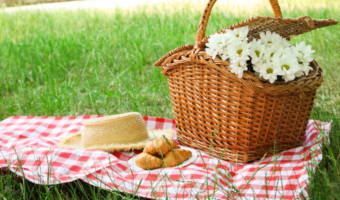 Packing a nutritious, delicious, and tooth-friendly picnic doesn’t need to be hard! Next time you head to the park, backyard, or wherever your picnic is, be sure to include these tooth-friendly foods!